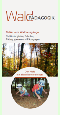 Waldpädagogik-Flyer über geförderte Waldausgänge